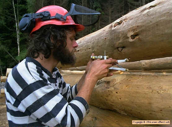 log cabin construction techniques