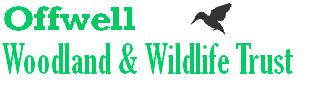 The Offwell Woodland & Wildlife Trust