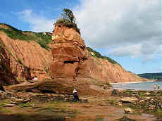 Red Sandstone Cliffs of Sidmouth, South Devon Coast.