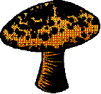 wpe2.gif (3996 bytes)