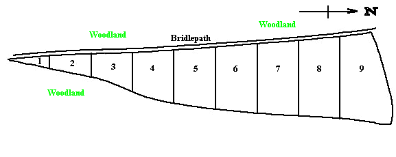 Diagram of the project site.