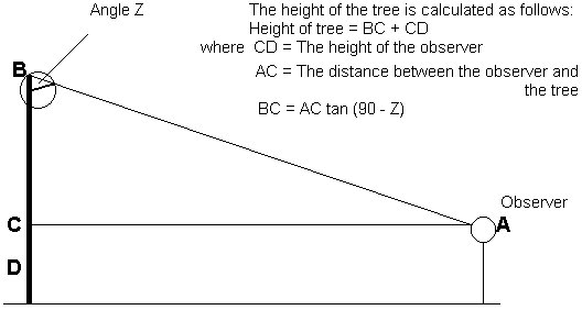 AppdxA2a.jpg (25460 bytes)