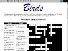 Birds Puzzle Page #01.jpg (96532 bytes)
