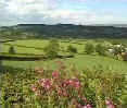 The rolling landscape of the East Devon countryside contains a remarkable variety of habitats.
