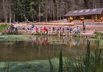 The Log Cabin and main pond dipping area.