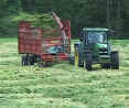 Self propelled forage harvesters have now largely replaced trailed machines.