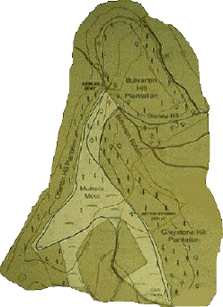 mutmap2.jpg (216696 bytes)