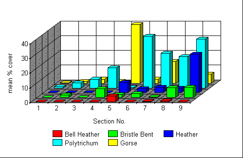 Distribution of major species on the project site in 1998.