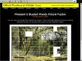 woodpuz.jpg (14772 bytes)