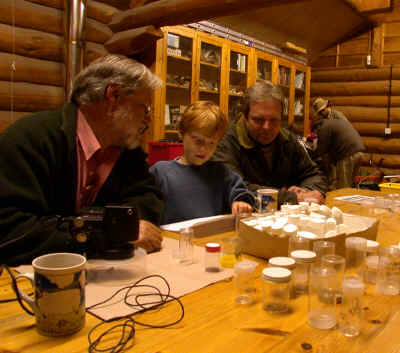 Looking at fascinating moths of allshapes,colours and sizes in the log cabin.