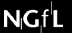 ngfl.gif (1699 bytes)