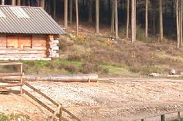 Recently cleared ground to the front of the log cabin.