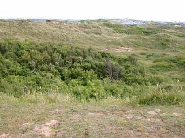 A dune slack - a valley between the dunes.